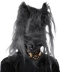 Canus Vulpus