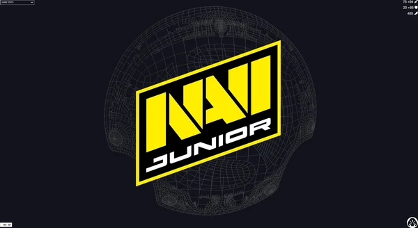 NAVI Junior participará en la fase de clasificación para Europa Occidental de The International 2025
