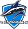 Vega Squadron
