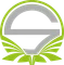 Team Singularity