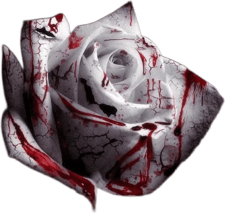 BloodyRose