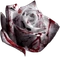 BloodyRose