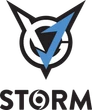 VGJ.Storm - team logo VGJ.Storm