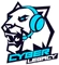 Cyber Legacy